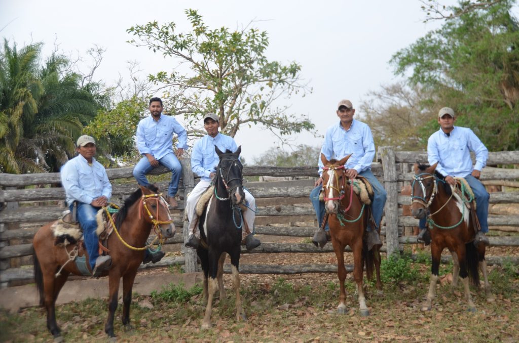 Tokenisierung in der Praxis: Der Finka-Token und die Zukunft der Finanzen