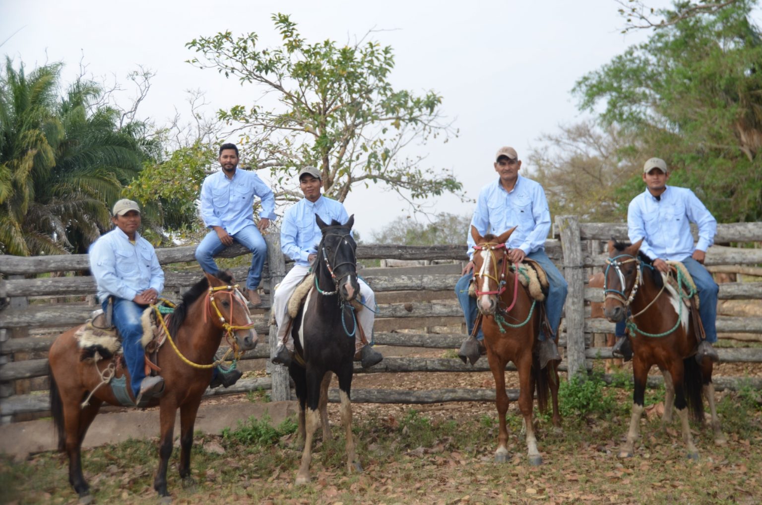 Tokenisierung in der Praxis: Der Finka-Token und die Zukunft der Finanzen