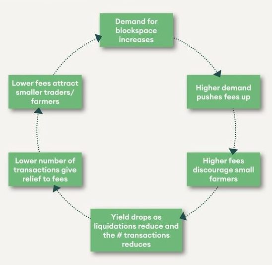SEBA-Bank-Digital-Crypto