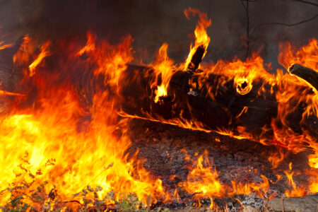 Wurde Ether (ETH) dank EIP-1559 deflationär? Wurde Ether (ETH) dank EIP-1559 deflationär?