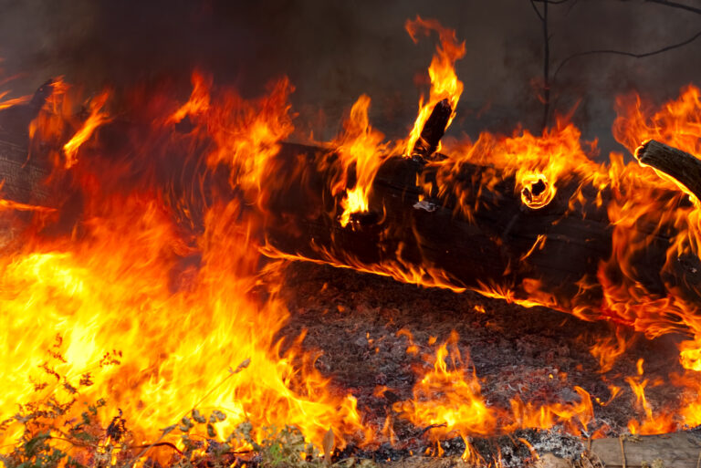 Wurde Ether (ETH) dank EIP-1559 deflationär? Wurde Ether (ETH) dank EIP-1559 deflationär?