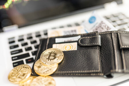 Eine Analyse der Privatanleger in Kryptowährungen Eine Analyse der Privatanleger in Kryptowährungen