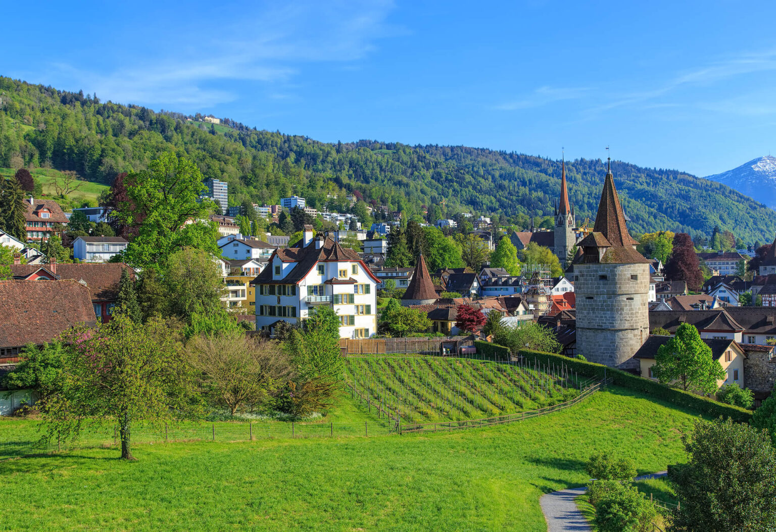 Das Crypto Valley verzeichnet ein weiteres Wachstumsjahr Das Crypto Valley verzeichnet ein weiteres Wachstumsjahr
