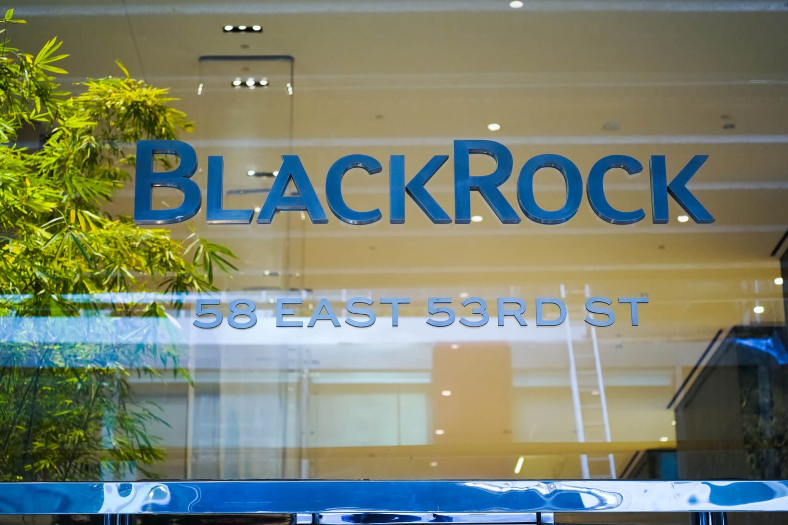 BlackRock-CEO Larry Fink sieht Bitcoin-Rallye als „Flucht in Qualität“ BlackRock-CEO Larry Fink sieht Bitcoin-Rallye als "Flucht zur Qualität"